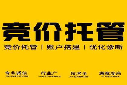 竞价托管与SEO结合的案例分析
